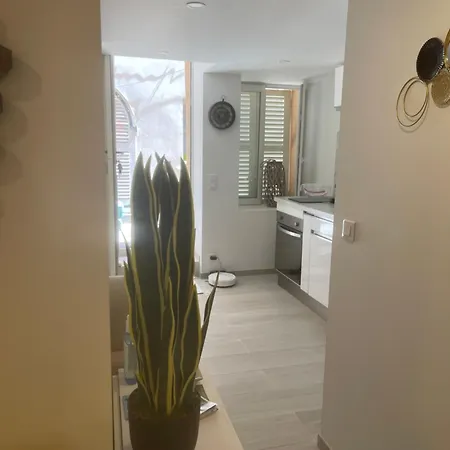 Grand Neuf A 50 M Du Port Apartment